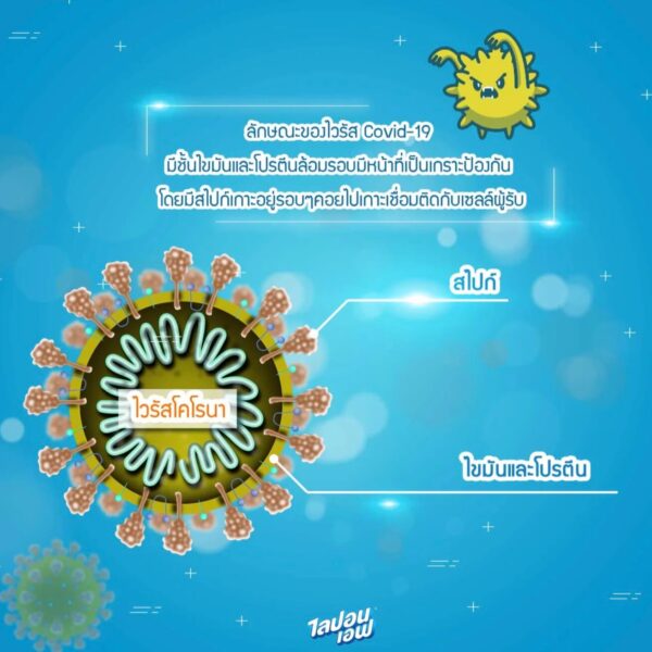 ไลปอนเอฟ น้ำยาล้างจานอนามัย ขจัดเชื้อไวรัส