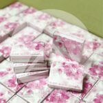 ผ้าอนามัยหยอดเหรียญ