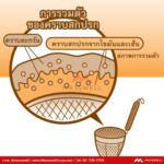 SARAYA น้ำยาขจัดคราบตะกรัน Noodle Cooker Cleaner