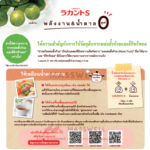 Lakanto S Granule น้ำตาลหล่อฮังก๊วย